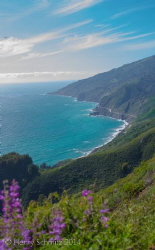 Big Sur coast, California. by Henry Schmitz 